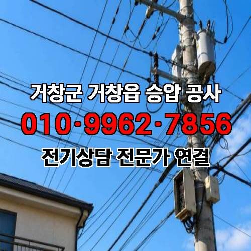 게시판 이미지 2331