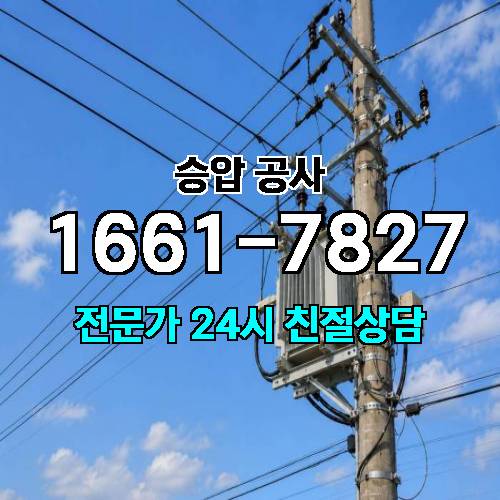 게시판 이미지 3913