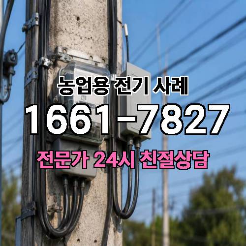 게시판 이미지 1149