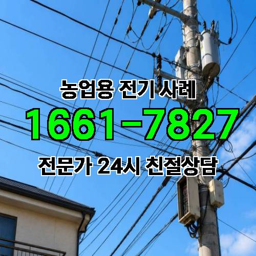 게시판 이미지 1811