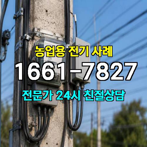 게시판 이미지 2154