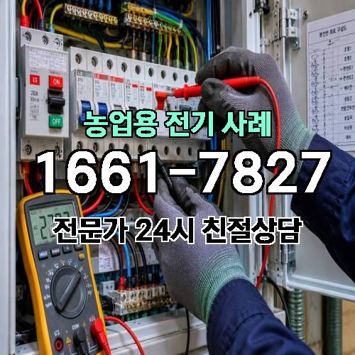 게시판 이미지 2415