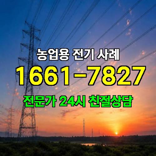 게시판 이미지 255