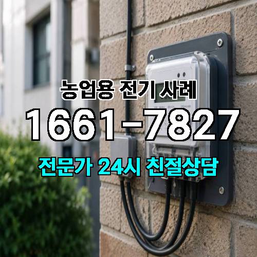 게시판 이미지 2637
