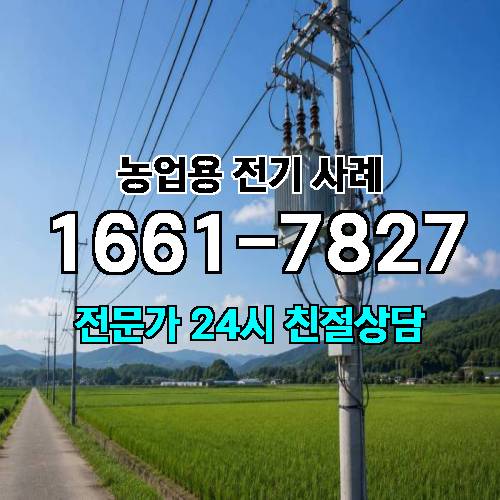 게시판 이미지 3182