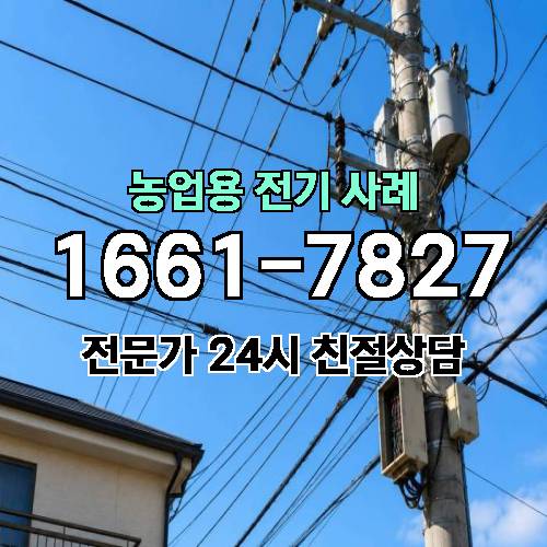 게시판 이미지 3230