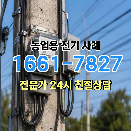 게시판 이미지 4003
