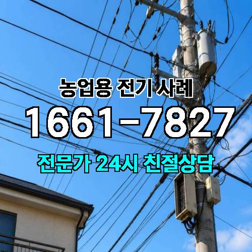 게시판 이미지 4061
