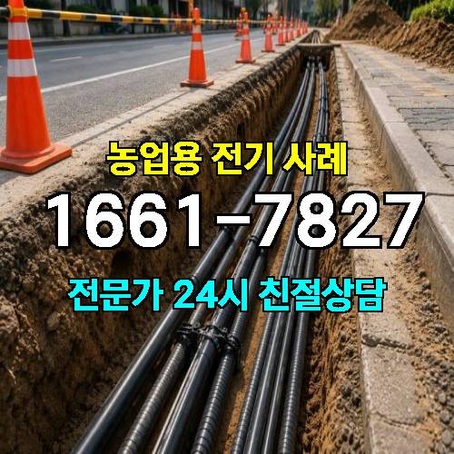 게시판 이미지 4187
