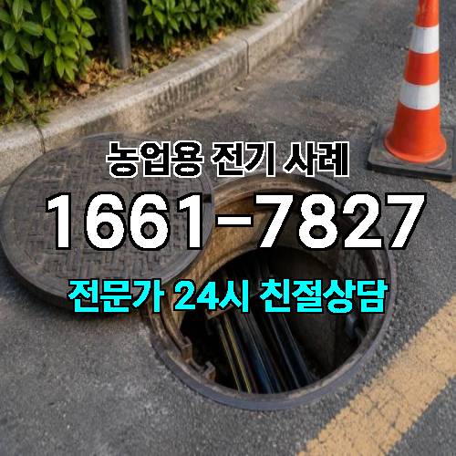 게시판 이미지 4608