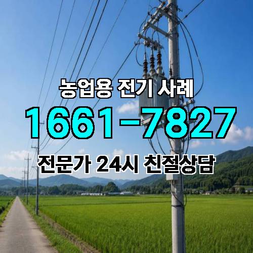 게시판 이미지 4799
