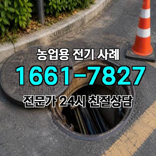 게시판 이미지 791