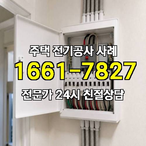 게시판 이미지 244