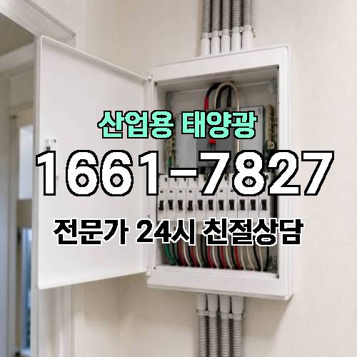 게시판 이미지 1149