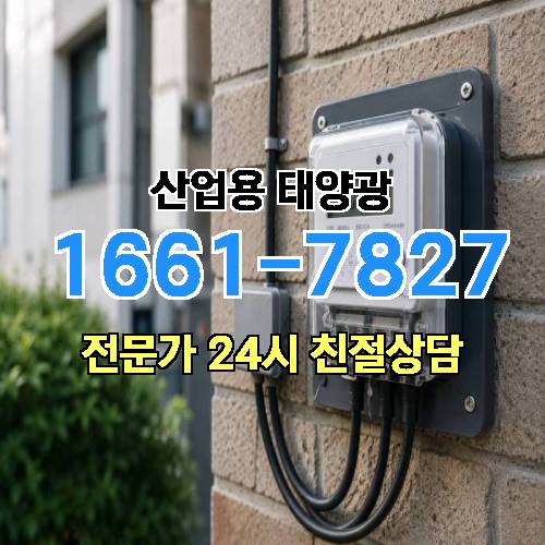 게시판 이미지 1795