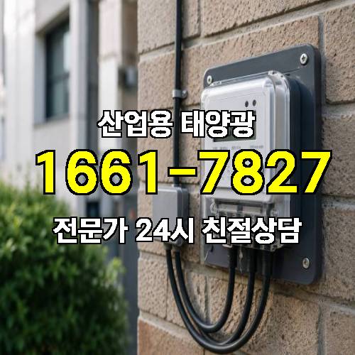 게시판 이미지 1813