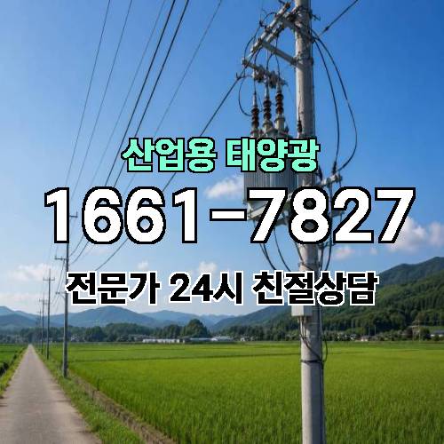 게시판 이미지 204