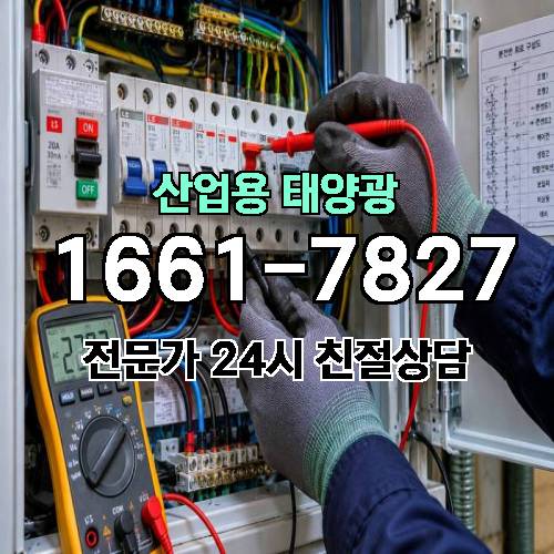 게시판 이미지 213