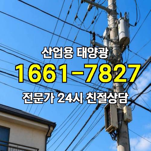 게시판 이미지 215