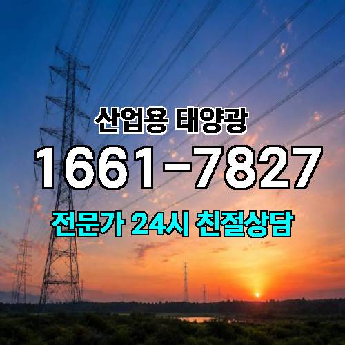 게시판 이미지 2195