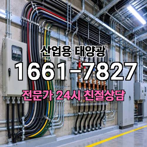 게시판 이미지 3077