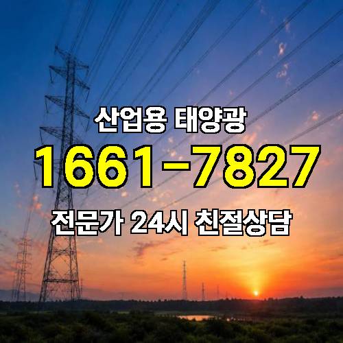 게시판 이미지 3538