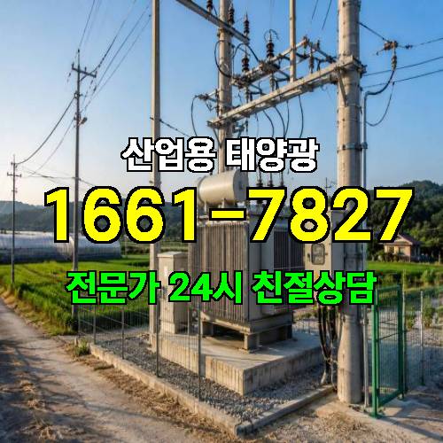 게시판 이미지 3649