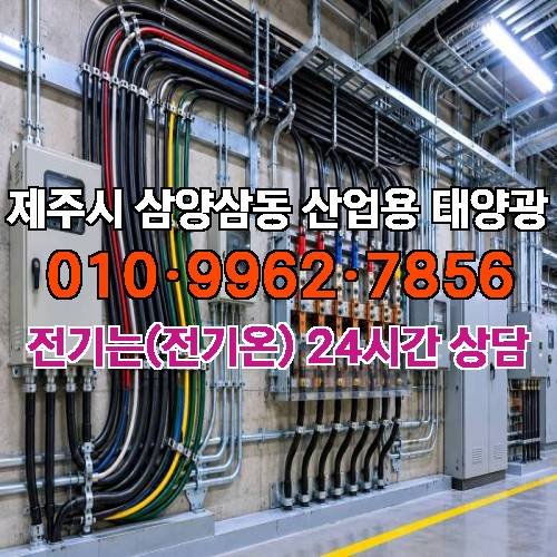 게시판 이미지 4328