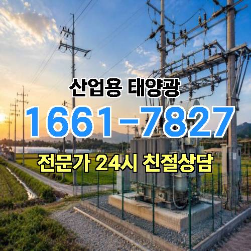 게시판 이미지 4910