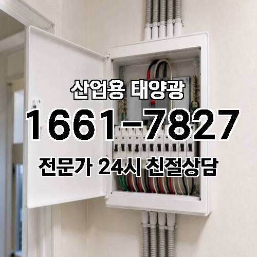 게시판 이미지 507
