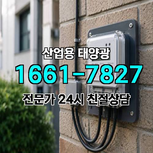게시판 이미지 521