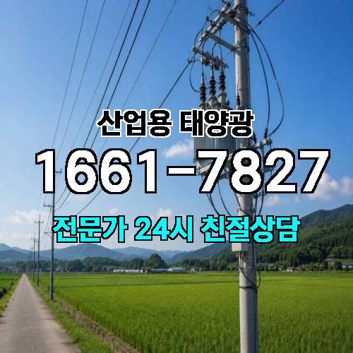 게시판 이미지 764