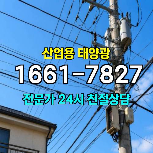 게시판 이미지 838