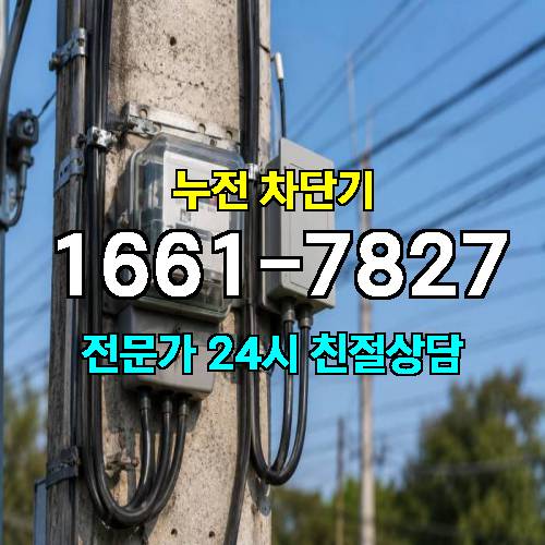 게시판 이미지 3906