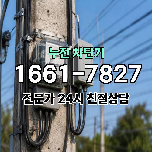 게시판 이미지 5266