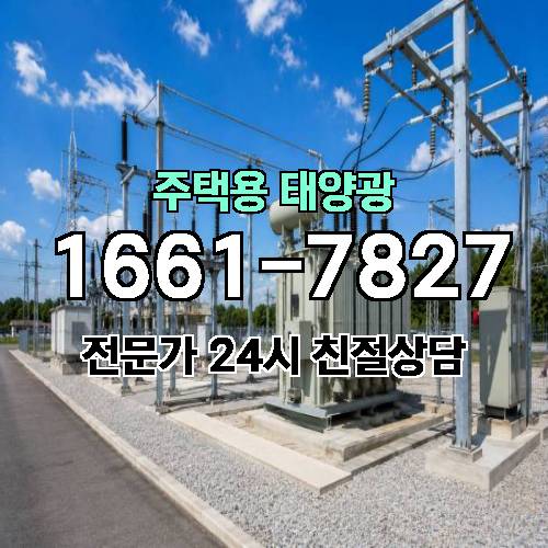 게시판 이미지 1246