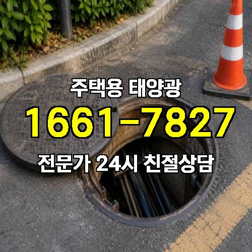 게시판 이미지 1546