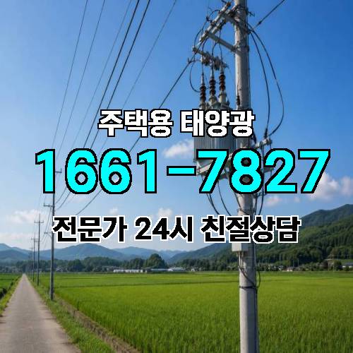 게시판 이미지 260