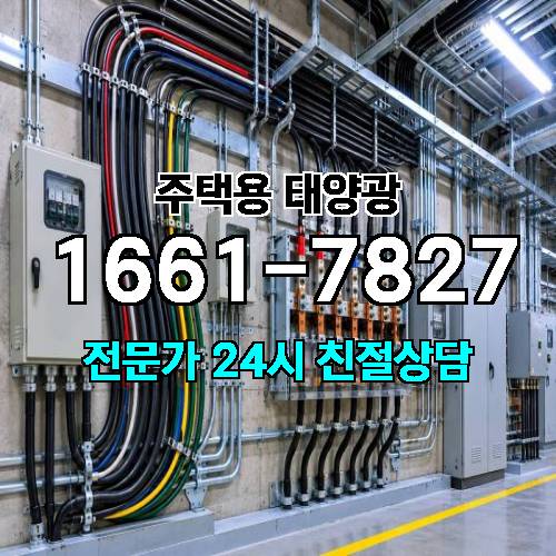 게시판 이미지 261
