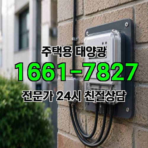 게시판 이미지 3339