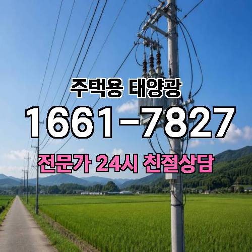 게시판 이미지 4356