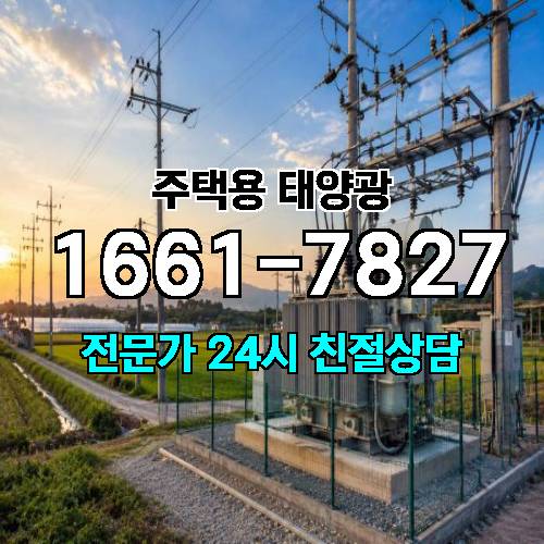 게시판 이미지 4617