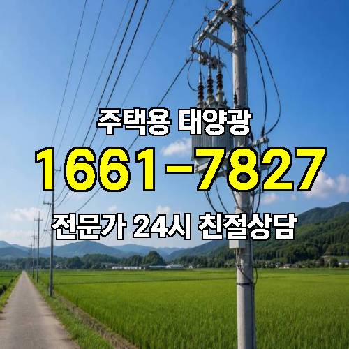 게시판 이미지 528