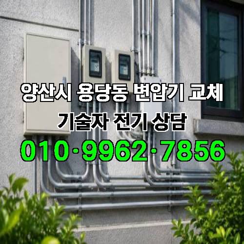 게시판 이미지 2495