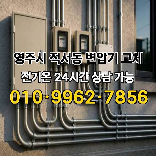 게시판 이미지 3217