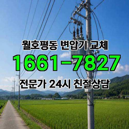 게시판 이미지 6145